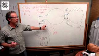 Oxygenation Understanding your BVM Device [upl. by Lhary]