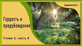 Гордость и предубеждение  аудиокнига глава 3 часть 8 [upl. by Demmer]