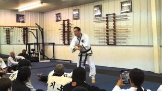 Dr Kimm Executing a Hapkido Arm Bar [upl. by Gamber]