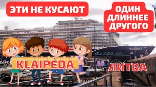 Он длиннее других Klaipėda  середина лета  скоро начнут КУСАТЬ ЛИТВА [upl. by Leeann]