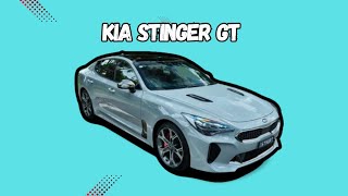 Kia Stinger GT O Sedã Esportivo que Revolucionou a Kia [upl. by Rebna]