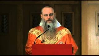 Nov 25  Homily Judge Correctly With the Wisdom of God [upl. by Ynaitirb]