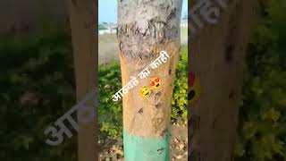 Majja lahanpanichi 😍🤤😉✨😎 short viralshort funny popular [upl. by Adiari]