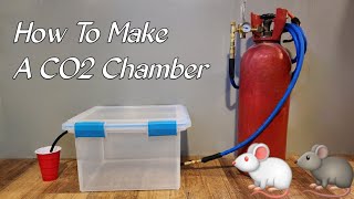 How To Make A CO2 Euthanasia Chamber [upl. by Norved686]