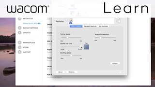 Using Touch Input on Wacom Intuos Pro [upl. by Madriene]