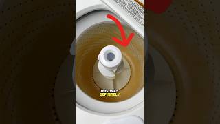 I Saved This Washing Machine cleaning satisfying cleaningtips [upl. by Akimik]