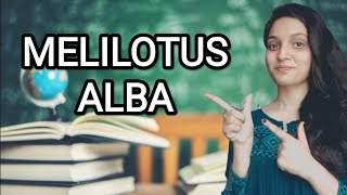 MELILOTUS ALBA HOMOEOPATHIC MEDICINEEXPLAINED WITH ALLEN KEYNOTES DRDEEKSHA [upl. by Gurl]