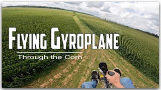 Gyroplane Splitting the Corn [upl. by Liartnod]