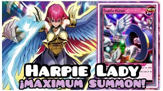 HARPIE LADY RUSH DECK YUGIOH DUEL LINKS [upl. by Eelsel]