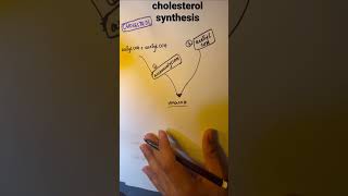 BIOCHEMISTRYCHOLESTEROL SYNTHESIS MNEMONICS [upl. by Alburga]