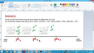 Acides aminésformes dionisation et pHi partie2 SMARANE [upl. by Mayda855]