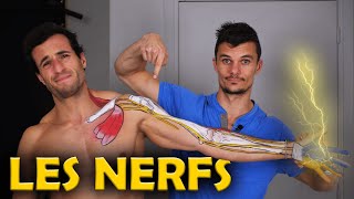 DOULEUR de NERF bloqué CERVICAL ou dans le BRAS  Essaye absolument cette technique solution kiné [upl. by Akehs]