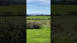 Mountains of East Montpelier Vermont [upl. by Eli]