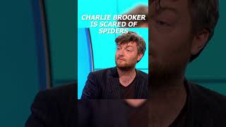 Charlie Brooker Is Scared Of Spiders 🕷️  Shorts  Would I Lie To You  All Brit [upl. by Justicz724]