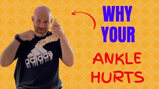 Why Does Your Ankle Hurt Understanding Common Injuries [upl. by Irvin]