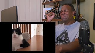 Try not to laugh CHALLENGE 59  by AdikTheOne  Reaction [upl. by Restivo]