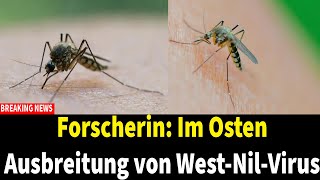 Forscherin Im Osten Ausbreitung von WestNilVirus [upl. by Odin437]