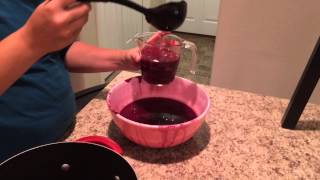 How to Make Chokecherry Jam [upl. by Paehpos265]