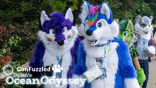 What we did at Confuzzled 2024  IRL [upl. by Somerville]