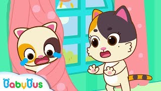 Baby Kittens Trapped in Curtains  Play Safe Song  Home Safety Tips  Nursery Rhymes  BabyBus [upl. by Olaf]