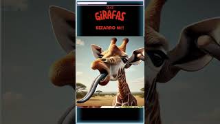 Quiz Girafas quiz girafa girafas animal animais Quiz Master [upl. by Akimit]