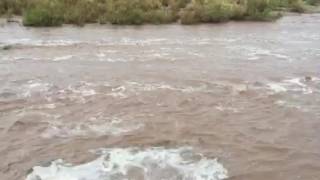 Watch the flowing Rillito River [upl. by Fantasia799]