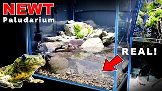 NEWT PALUDARIUM WATERFALL FILTRATION amp SUBSTRATE  MD FISH TANKS [upl. by Ormsby]