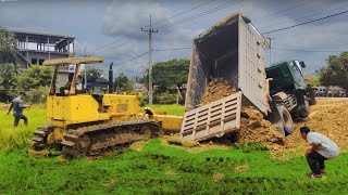 Incredible Rescue amp Tree Clearing KOMATSU D59 amp Dump Truck in New Landfilling Project [upl. by Sateia401]