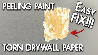 How to Fix a Drywall Paper or Repair FlakingPeeling Paint [upl. by Dichy]