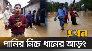 নেত্রকোনায় বন্যা পরিস্থিতি ভয়াবহ  Flood News  Netrokona  Mymensingh  Sherpur  Ekhon TV [upl. by Lidah]