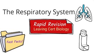 Fast FactsThe Respiratory SystemBiology Bugbears Leaving Cert Biology 2025 [upl. by Forta]