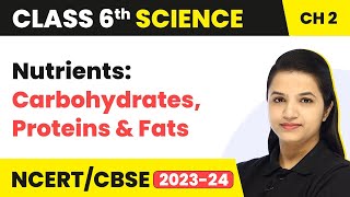 Class 6 Science Chapter 2  Nutrients Carbohydrates Proteins amp Fats  Components of Food [upl. by Osugi]