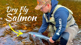 Epic Dry Fly Fishing for Atlantic Salmon in Newfoundland [upl. by Bryant]