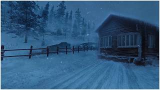 Blustering Blizzard Sounds amp Whirling Snowstorm Noises┇Extreme Winter Storm amp Gusty Wind to Sleep [upl. by Cote952]