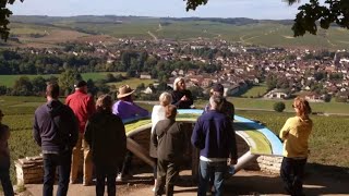 Private Tasting of Chablis Wines at the Prestigious Domaine Laroche [upl. by Andromede]