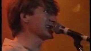 crowded house distant sun live [upl. by Ekrub896]