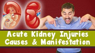 Acute Kidney Injury Causes amp Manifestations [upl. by Laws]