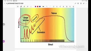 Practical Physiology  MSK  Part 2  Dr Doaa [upl. by Esilehs]