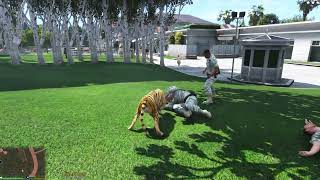 Tiger Simulator Tiger Games [upl. by Sivahc]