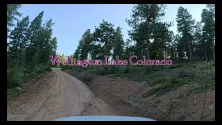 Late summer drive past Wellington Lake Colorado [upl. by Enaz487]