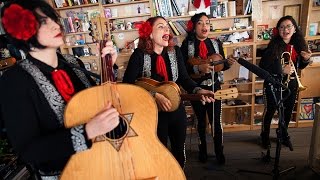 Mariachi Flor De Toloache NPR Music Tiny Desk Concert [upl. by Yeleak981]