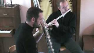 flute octobasse neel [upl. by Faustina]