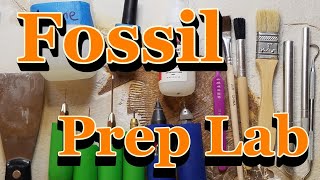 How I set up my fossil prep lab [upl. by Intirb]