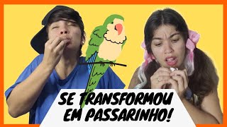 SE TRANSFORMOU EM PASSARINHO [upl. by Lerret]