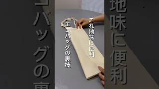 エコバッグの裏技２選 家事楽 暮らしの工夫 暮らしの道具 エコバッグ [upl. by Artus]