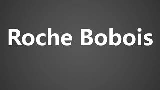 How To Pronounce Roche Bobois [upl. by Oicirtap]