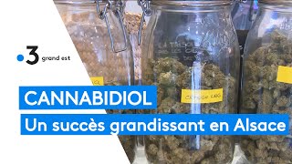 Alsace  le succès grandissant du cannabidiol CBD [upl. by Ynffit]