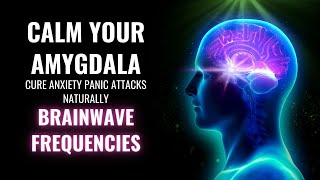 Calm Your Amygdala  Cure Anxiety Panic Attacks Naturally  Brainwave Frequencies  Amygdala Music [upl. by Suanne749]