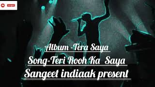 Teri Rooh ka saya Album Tera Saya latest hindi romantic songs ll Official Music Sangeet indiaak [upl. by Gabrila]