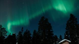 Magical Northern Lights in Finland  Aurora Borealis in 4K [upl. by Clovah100]